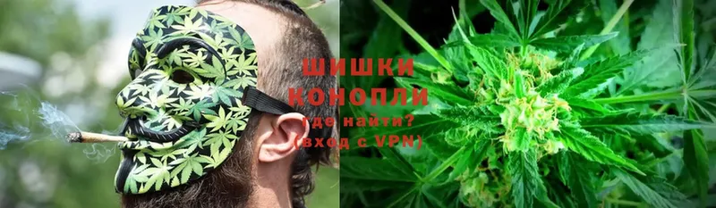 darknet как зайти  Апшеронск  МЕГА маркетплейс  Бошки Шишки SATIVA & INDICA  цена  